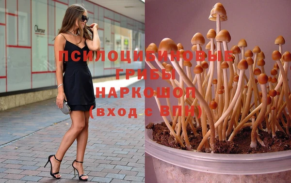 не бодяженный Арсеньев