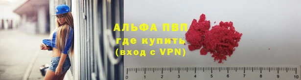 амф Аркадак