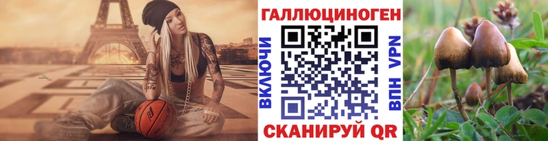 Псилоцибиновые грибы мухоморы  Купить закладки  Кораблино 